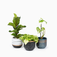 Bloempotten Binnen – Medium Set van 2 - Keramiek - Gouden Rand - Bloempot buiten - Afvoergat - ⌀19 cm – Wit Zwart / Zwart