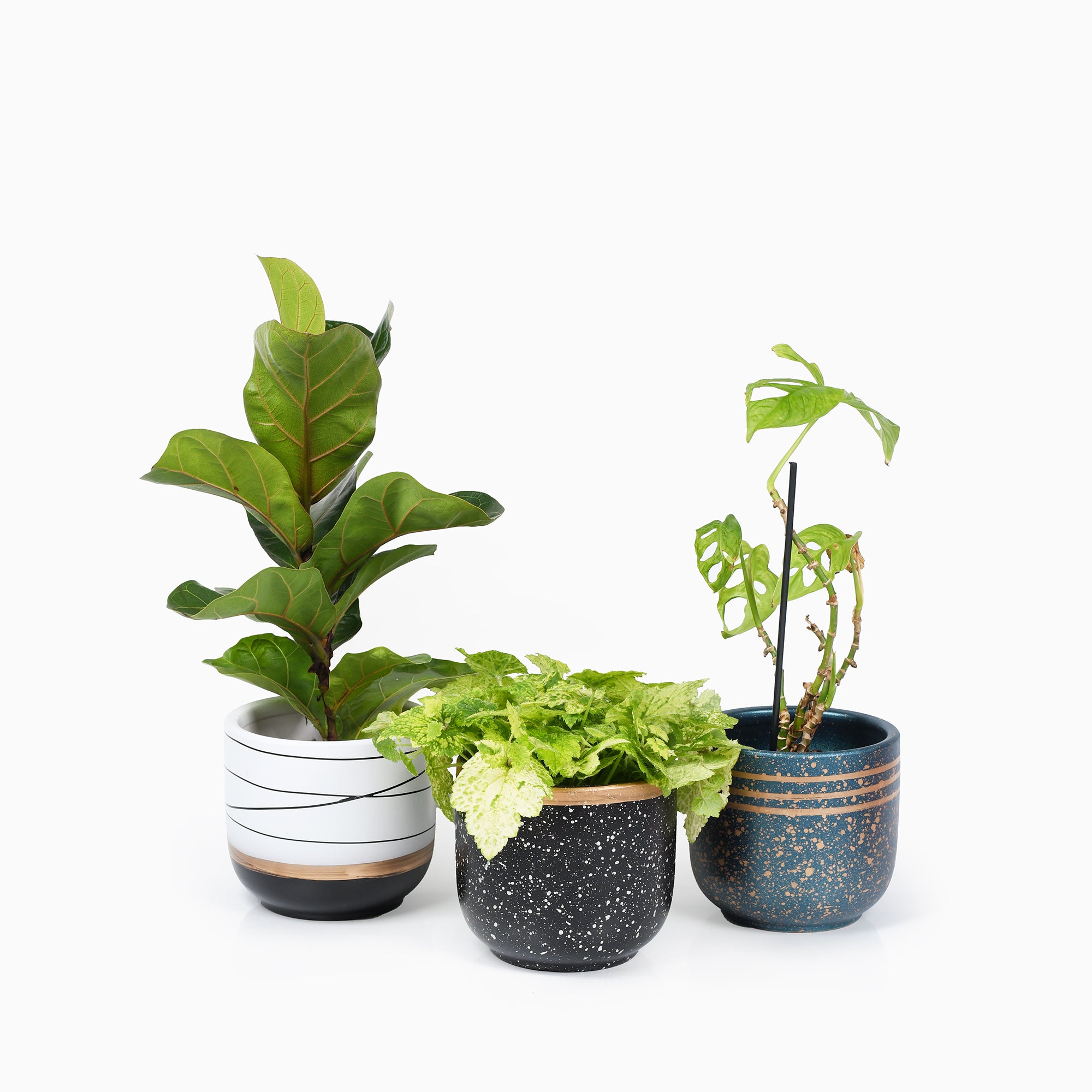 Bloempotten Binnen - Keramiek - Gouden Rand - Bloempot buiten - Afvoergat 24 - Small Set van 3 - 15 cm