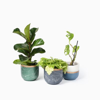 Bloempotten Binnen - Keramiek - Gouden Rand - Bloempot buiten - Afvoergat 24 cm - Blauw Wit – Groot 2